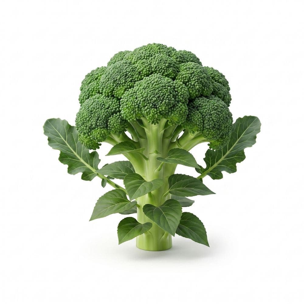 Render of Alpha-lipoic acid