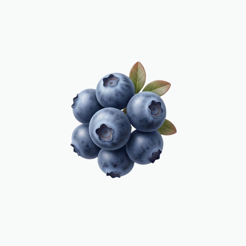 Bilberry