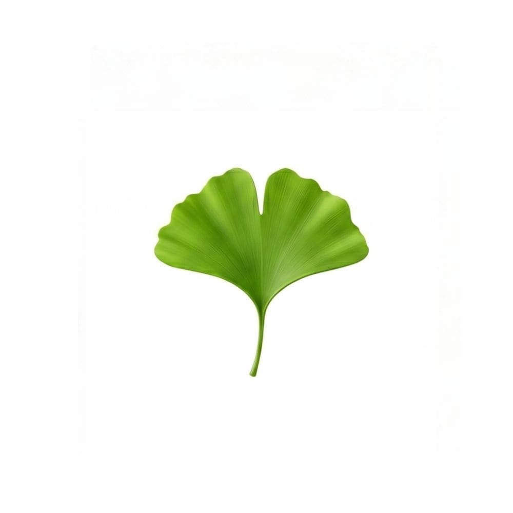 Render of Ginkgo biloba