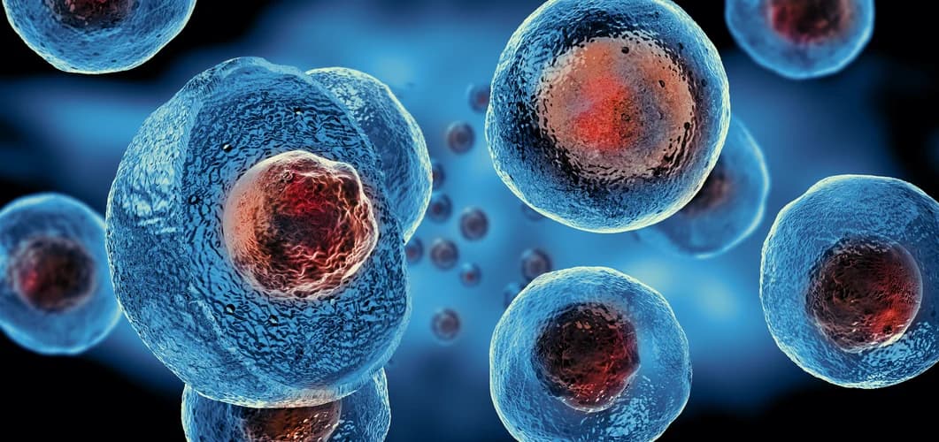 Oxidative stress and cellular protection