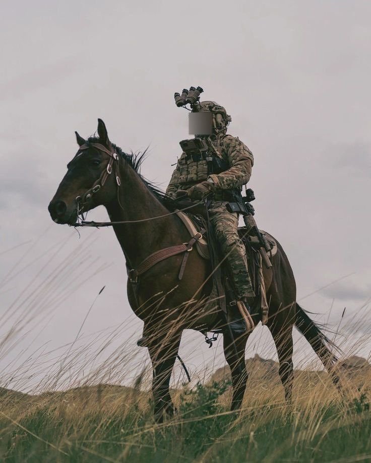 Alpha GPC and Cognitive Reconstruction - nootropics for ptsd treatment