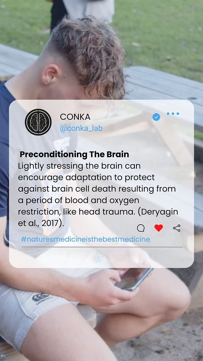The-Nicotinic-Effect-Preconditioning-the-Brain-for-Neuroprotection CONKA