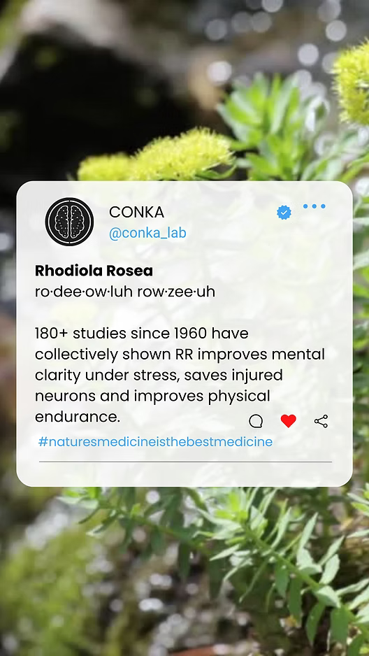 ChC5+1: CONKA Formula Component no4.