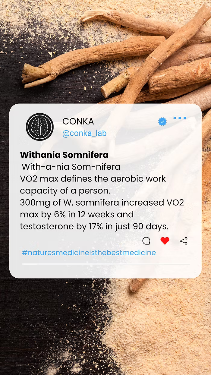 ChC5+1: CONKA Formula Component no1.