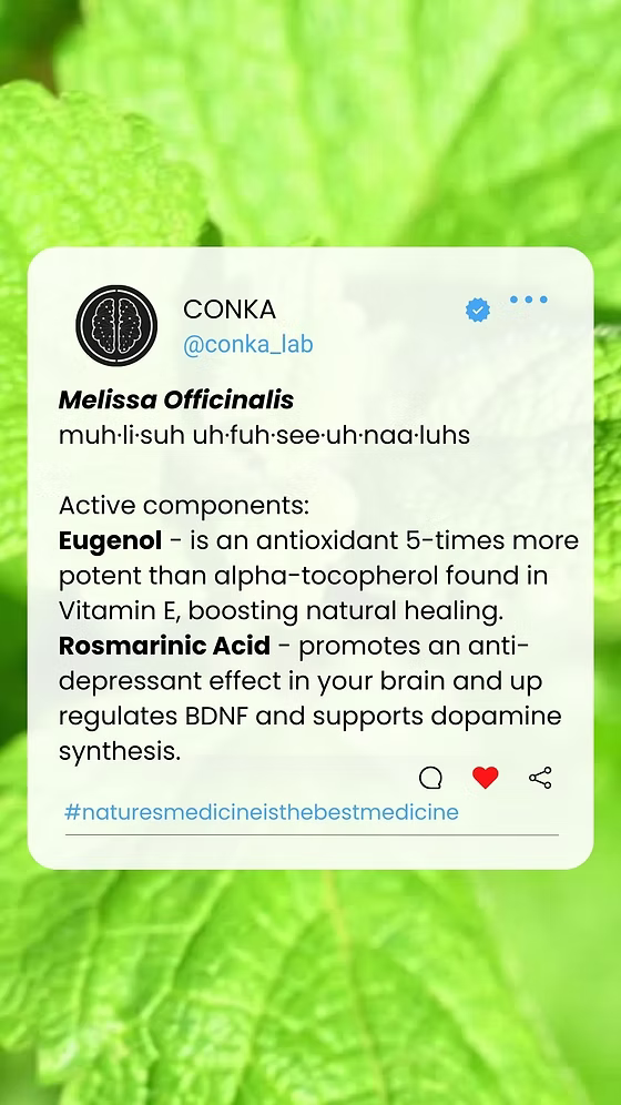 ChC5+1: CONKA Formula Component no3.