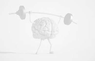Brain Health Habits: A Daily Routine to Optimise Mental Performance