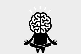 The Power of Mindfulness: How Habits Shape the Brain Through Neuroplasticity