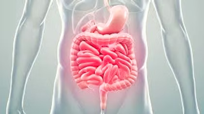 The Link Between Gut Health and Blast-Induced Trauma: A Cognitive Perspective