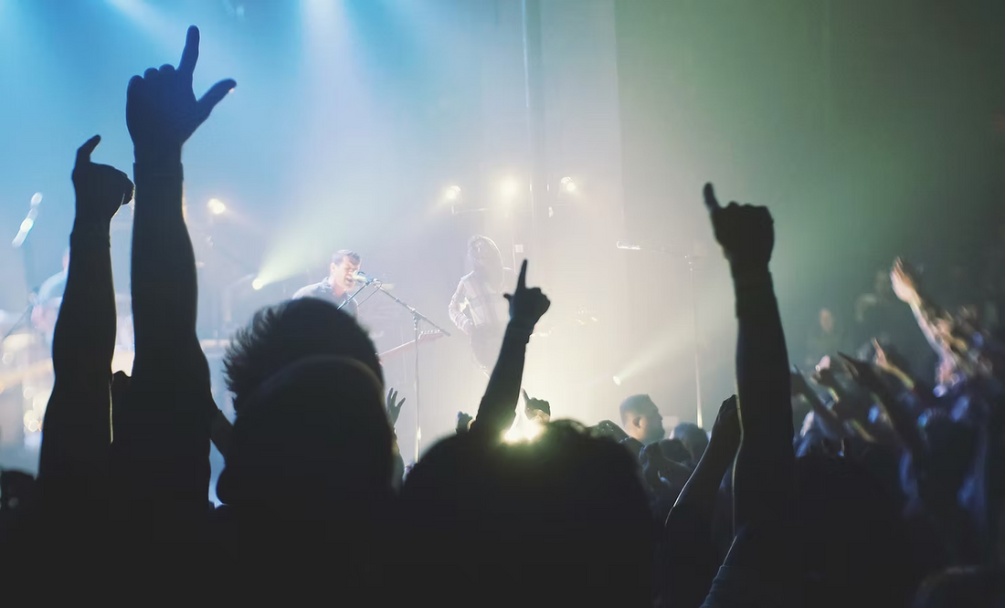 The-Neural-Basis-of-Emotions CONKA