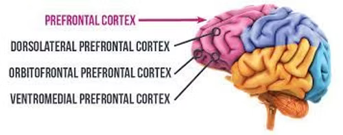 Decision-Making CONKA