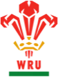 Wales Rugby